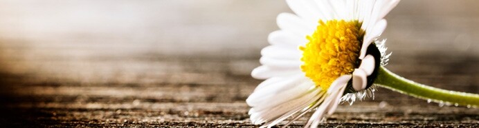 details_losing-header details losing header