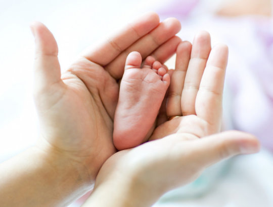 wepik export 2023071012235211Cj